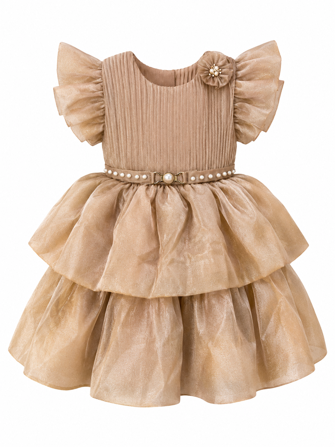 Champagne Gold Princess Party Dress for Girls