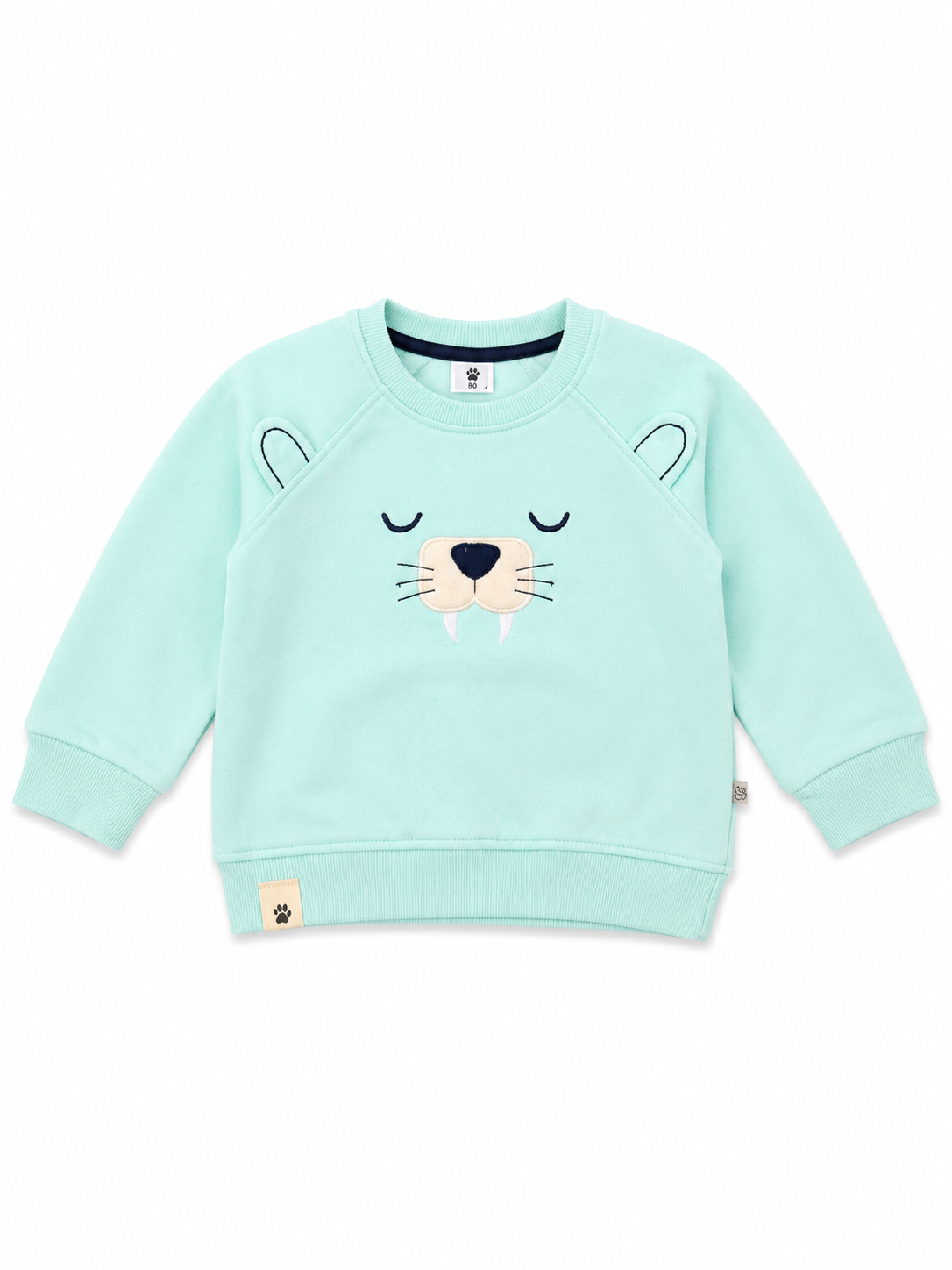 Mint Tiger Baby Sweatshirt & Jogger Set